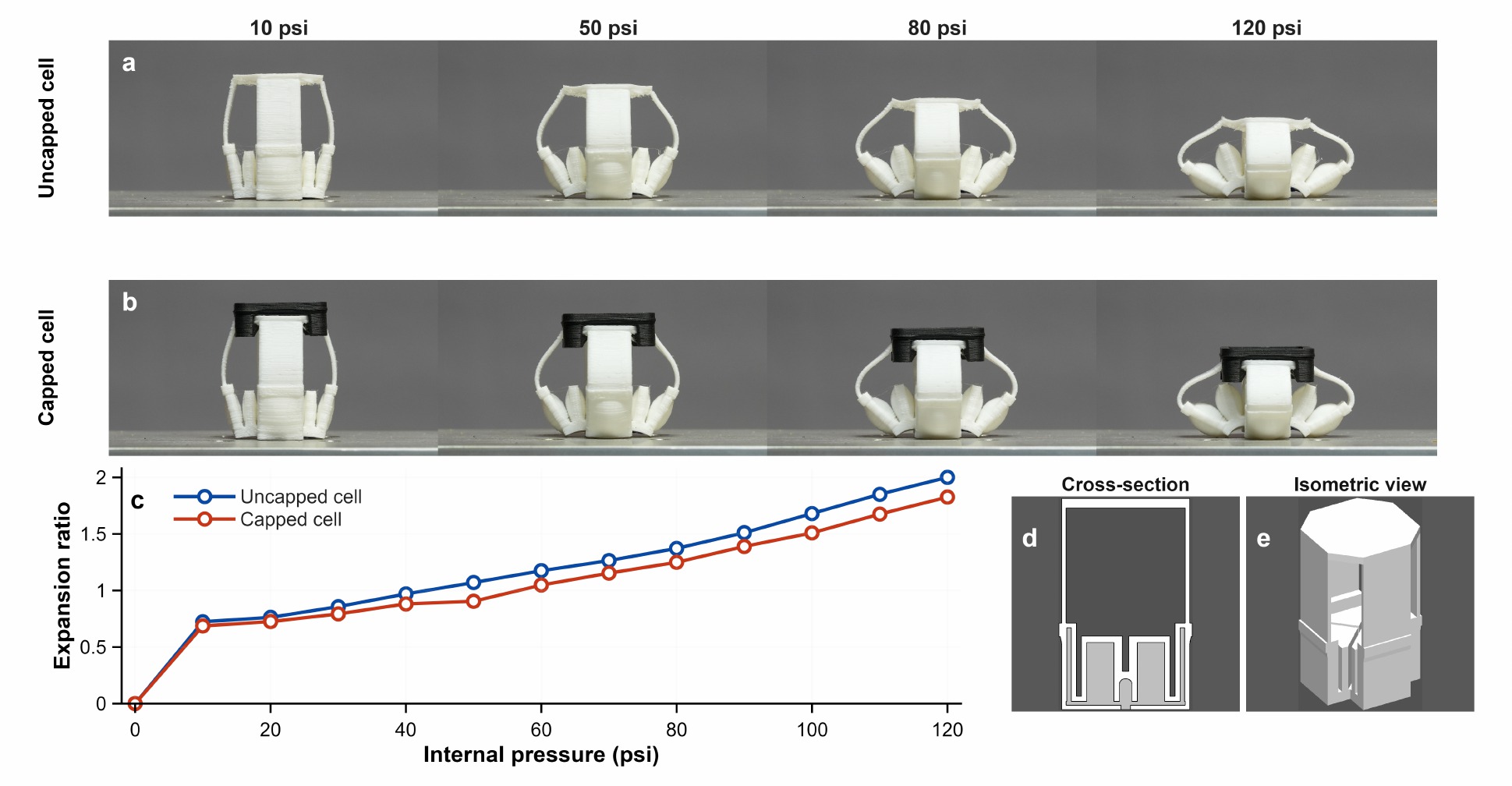Capped and uncapped cell geometry and pressure-driven expansion.