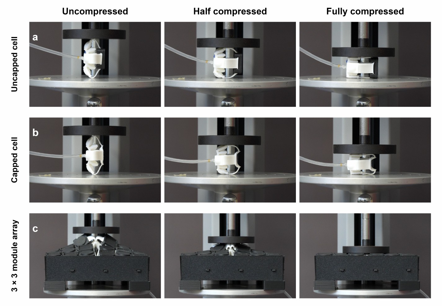 Cell and array compression tests.