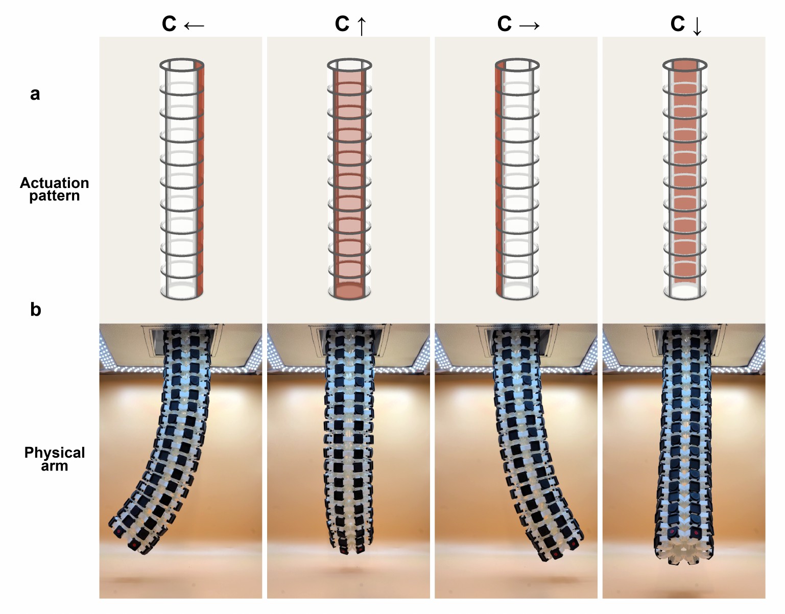 Cylindrical C-bending program.