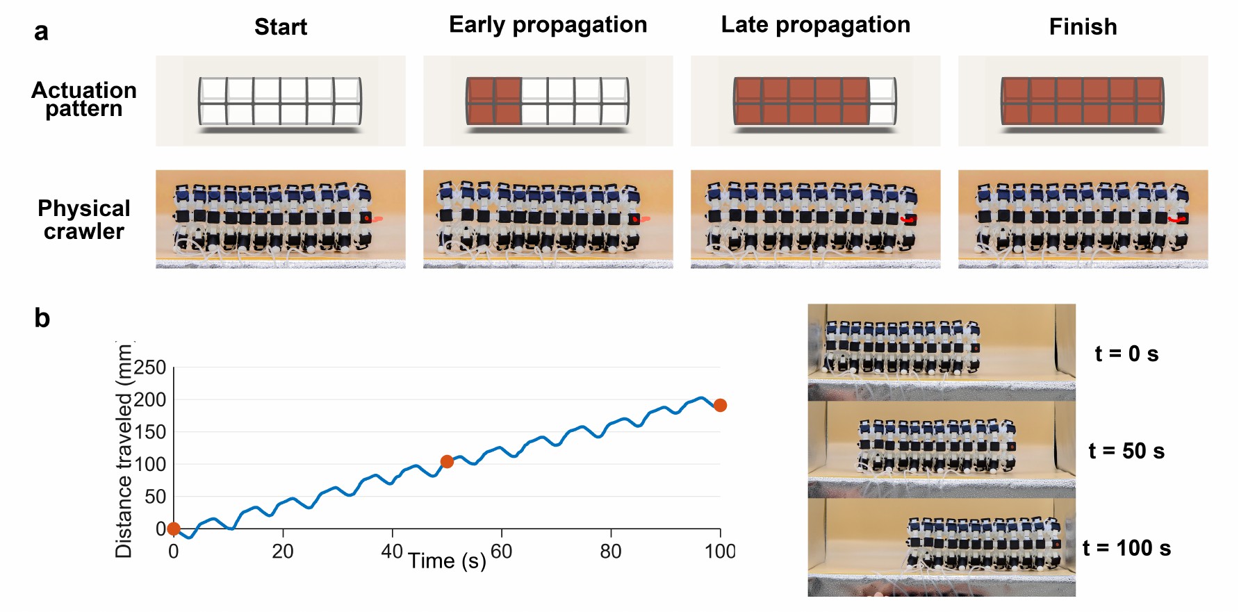 Peristaltic crawling sequence and travel plot.